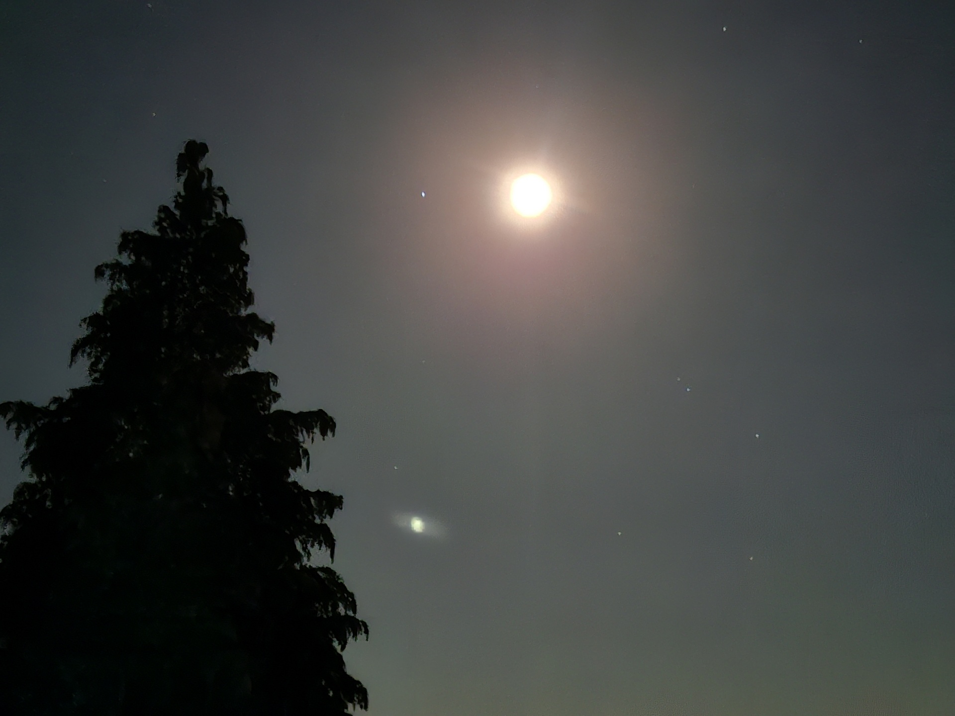 Vollmond am Juli-Himmel mit Wolken und Silhouetten von Bäumen im Vordergrund